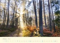 Oktober Pfalzkalender 2022