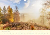 November Pfalzkalender 2022